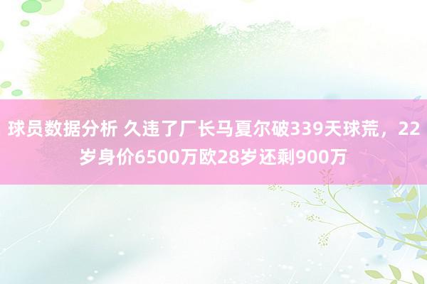 球员数据分析 久违了厂长马夏尔破339天球荒，22岁身价6500万欧28岁还剩900万