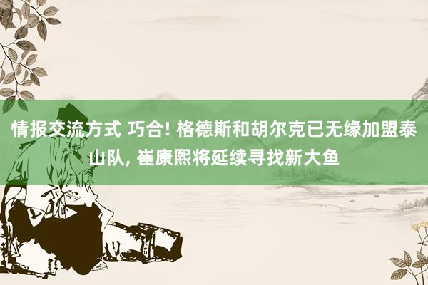 情报交流方式 巧合! 格德斯和胡尔克已无缘加盟泰山队, 崔康熙将延续寻找新大鱼