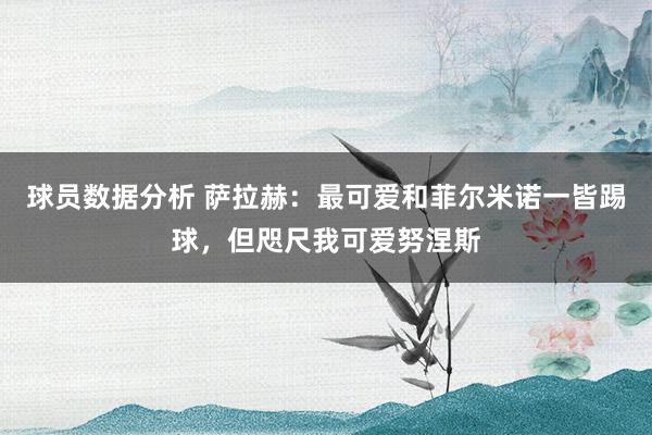 球员数据分析 萨拉赫：最可爱和菲尔米诺一皆踢球，但咫尺我可爱努涅斯