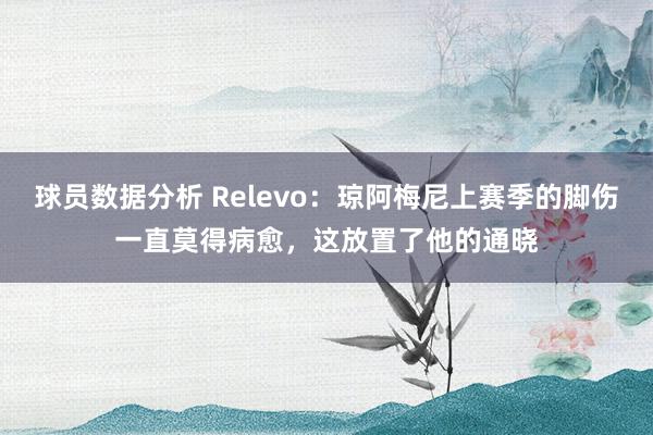 球员数据分析 Relevo：琼阿梅尼上赛季的脚伤一直莫得病愈，这放置了他的通晓