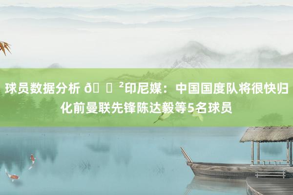 球员数据分析 😲印尼媒：中国国度队将很快归化前曼联先锋陈达毅等5名球员