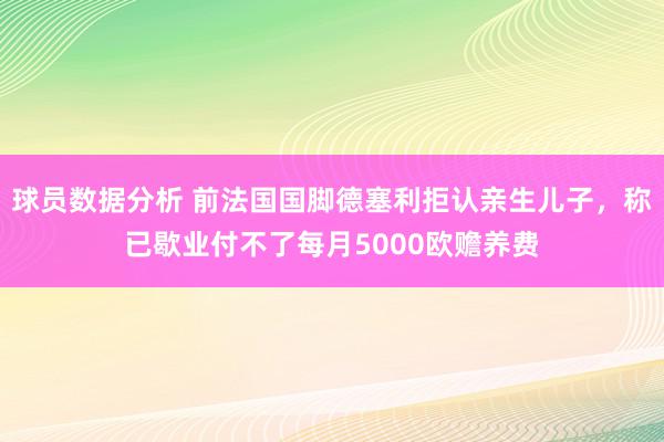 球员数据分析 前法国国脚德塞利拒认亲生儿子，称已歇业付不了每月5000欧赡养费