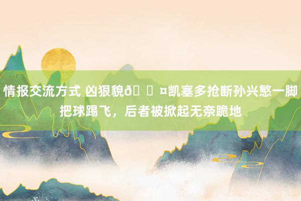 情报交流方式 凶狠貌😤凯塞多抢断孙兴慜一脚把球踢飞，后者被掀起无奈跪地