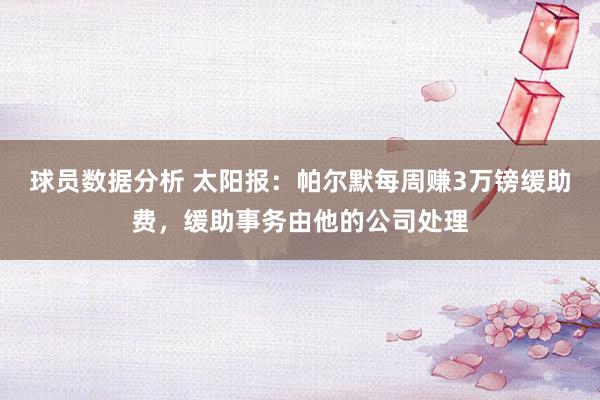 球员数据分析 太阳报：帕尔默每周赚3万镑缓助费，缓助事务由他的公司处理