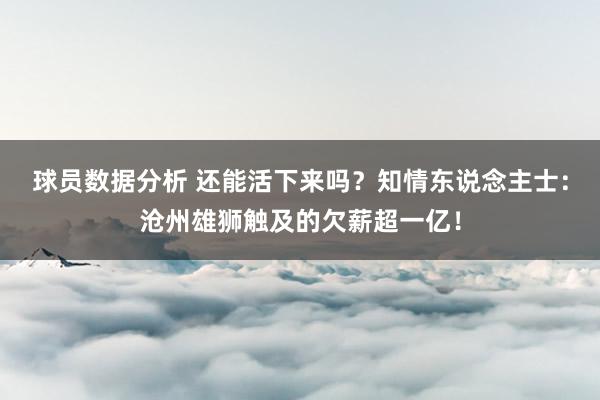 球员数据分析 还能活下来吗？知情东说念主士：沧州雄狮触及的欠薪超一亿！