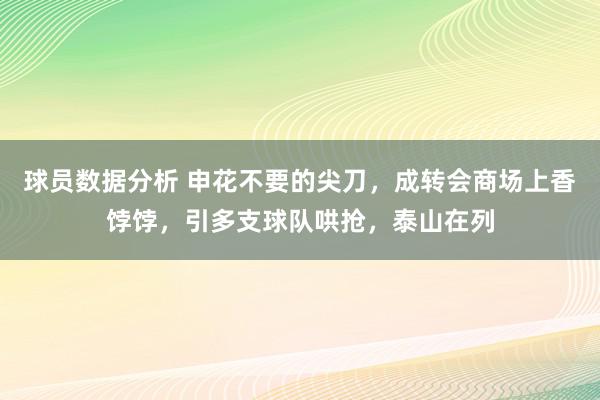 球员数据分析 申花不要的尖刀，成转会商场上香饽饽，引多支球队哄抢，泰山在列